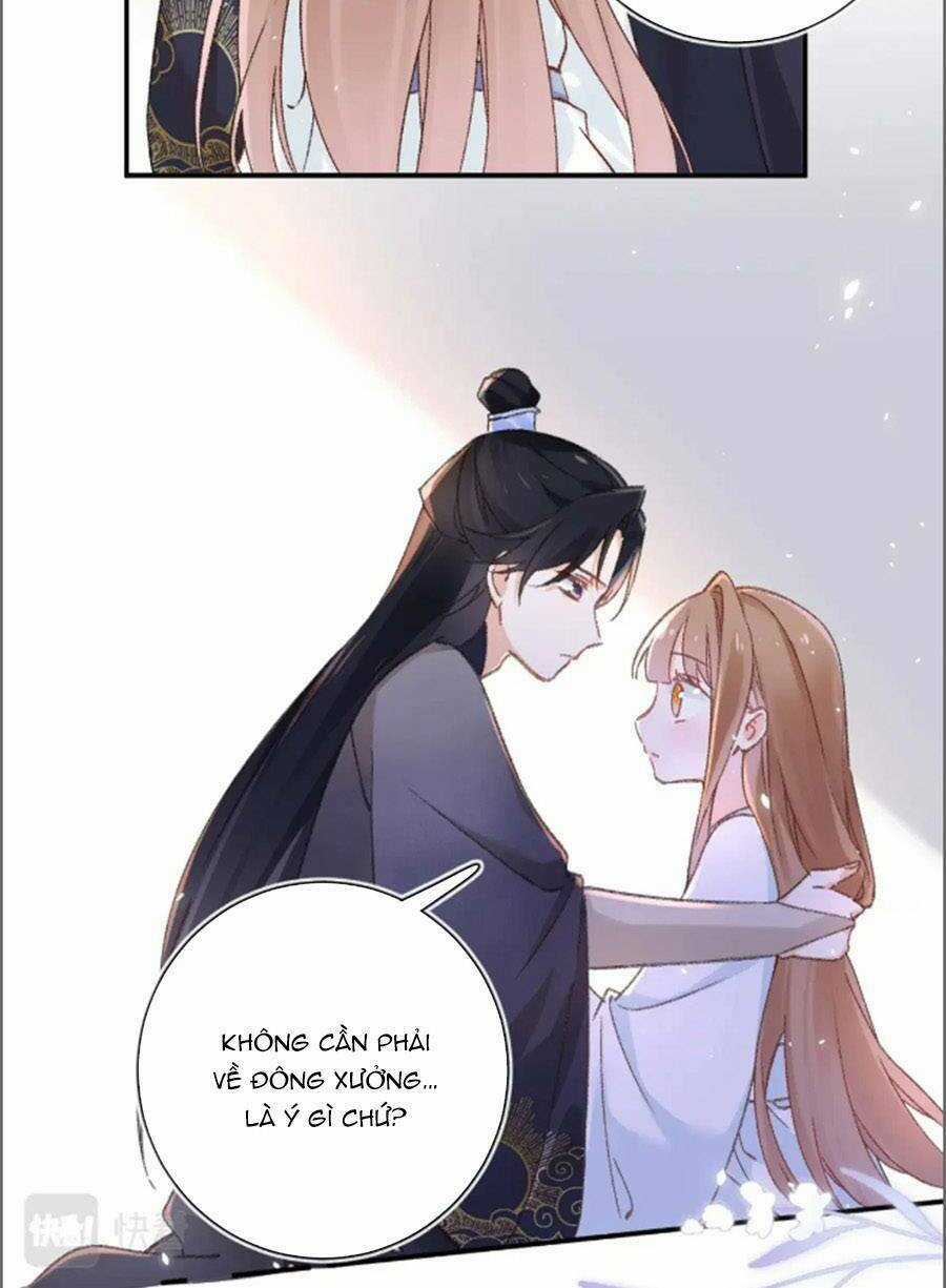 Lui Lui Lui Lui Ra! - Chapter 97 - Trang 15