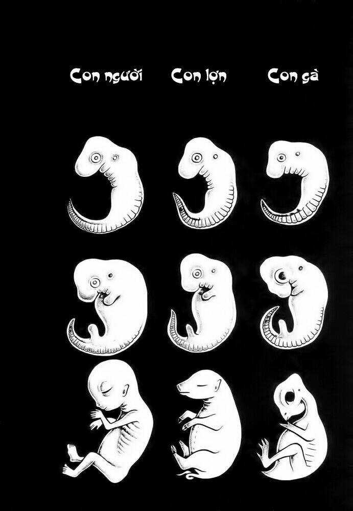 Lullabies From Hell - Chapter 2 - Trang 15