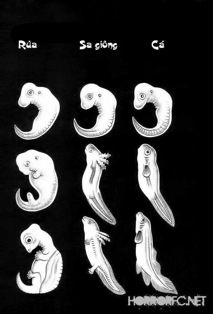 Lullbabies From Hell - Chapter 2 - Trang 14