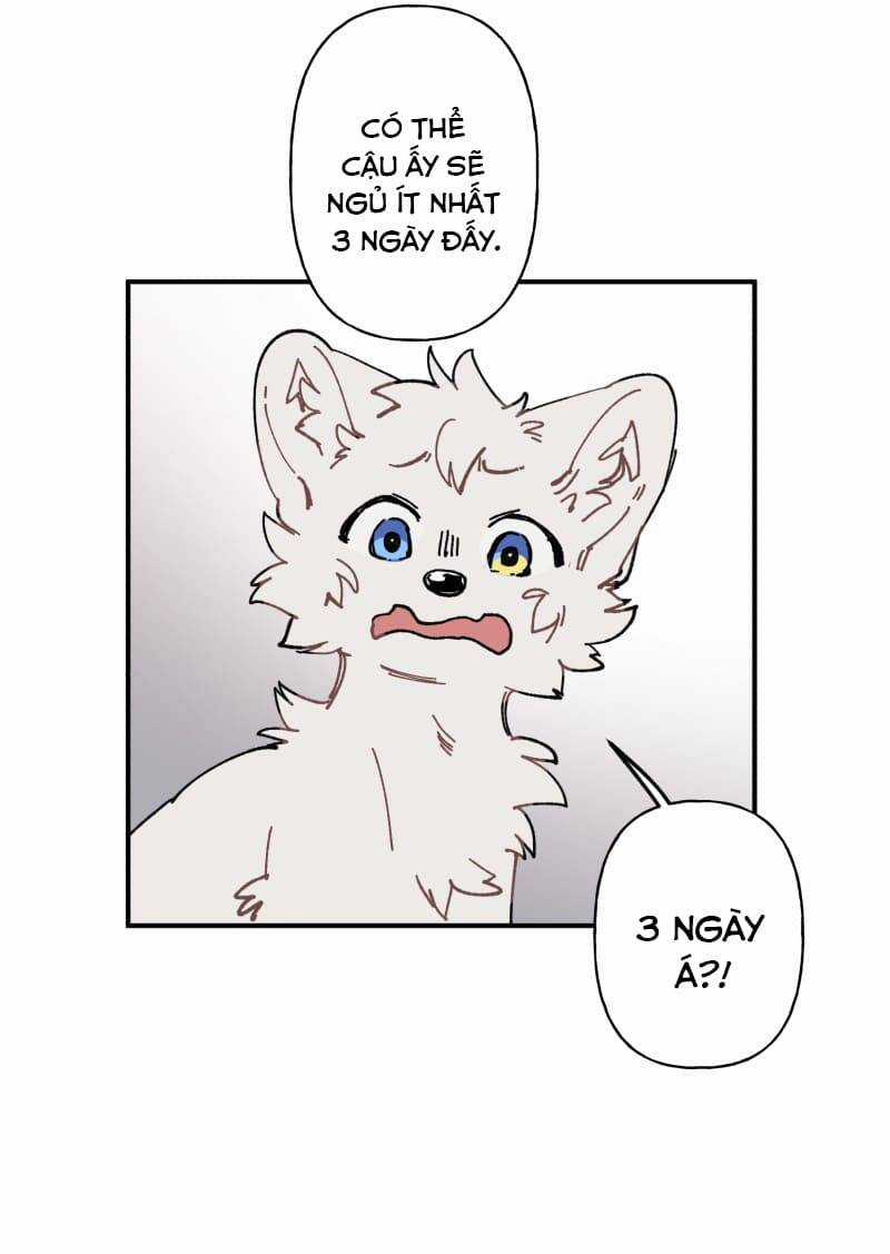 Lumine - Chapter 105 - Trang 14