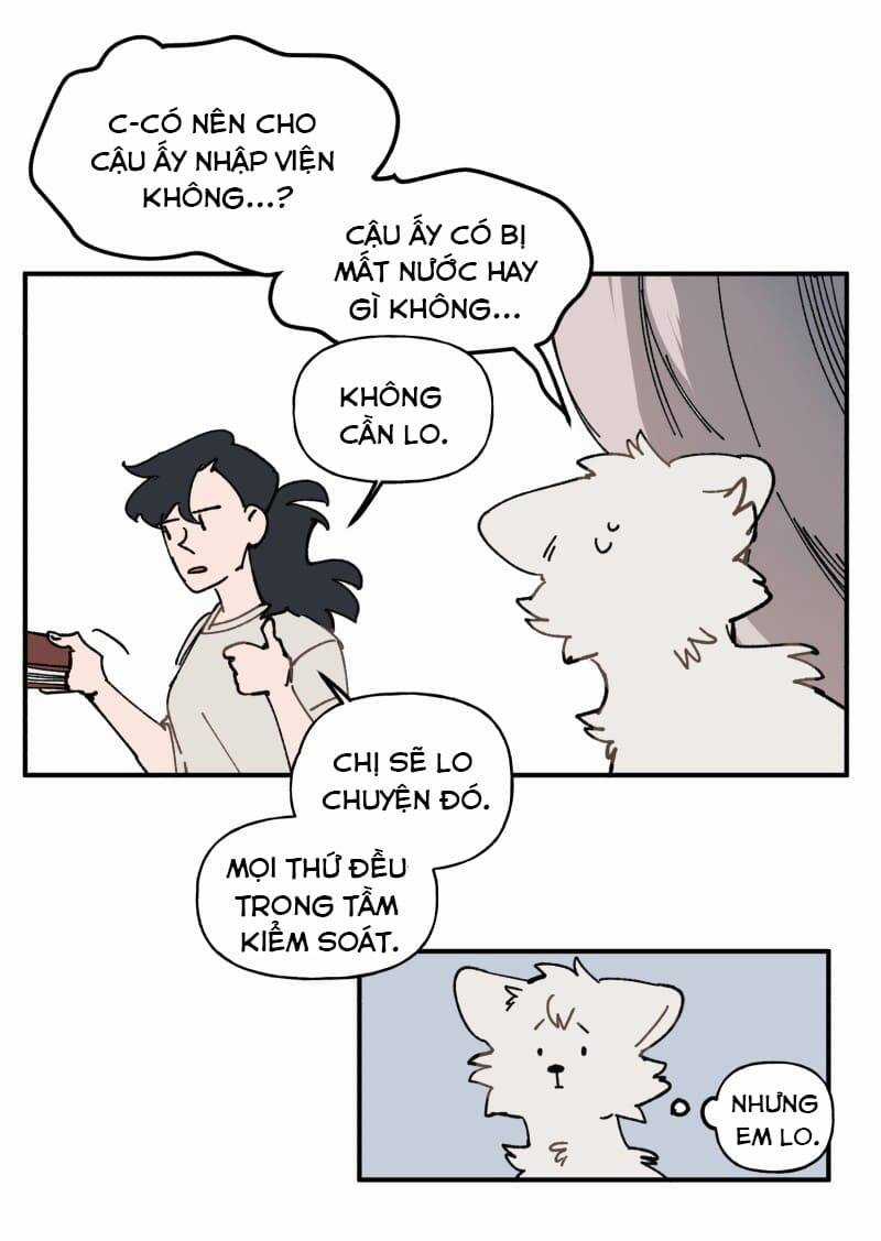 Lumine - Chapter 105 - Trang 15