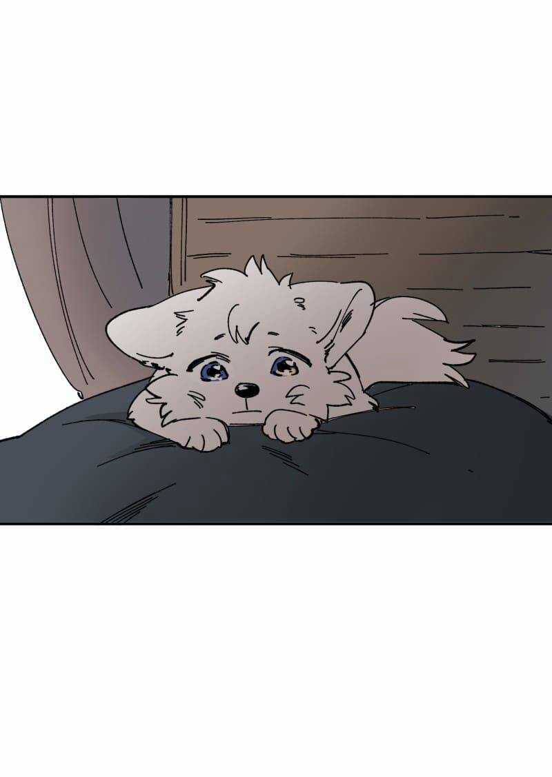 Lumine - Chapter 105 - Trang 4