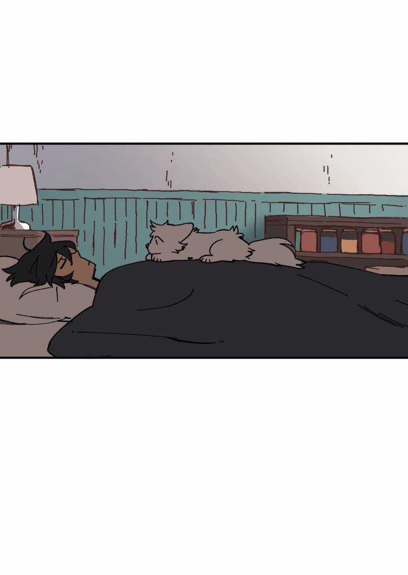 Lumine - Chapter 105 - Trang 5