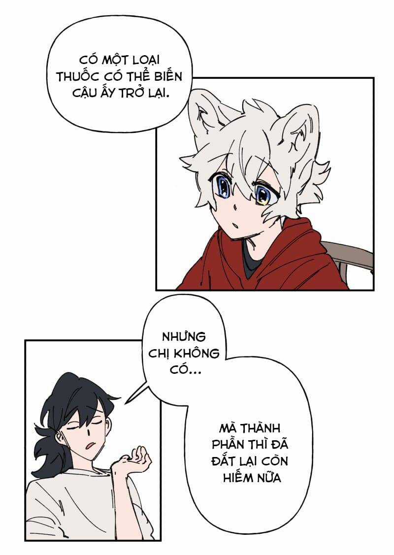 Lumine - Chapter 106 - Trang 13