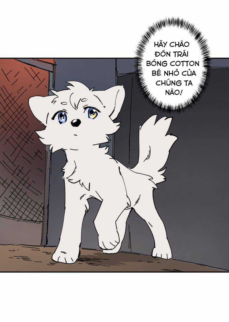 Lumine - Chapter 106 - Trang 37