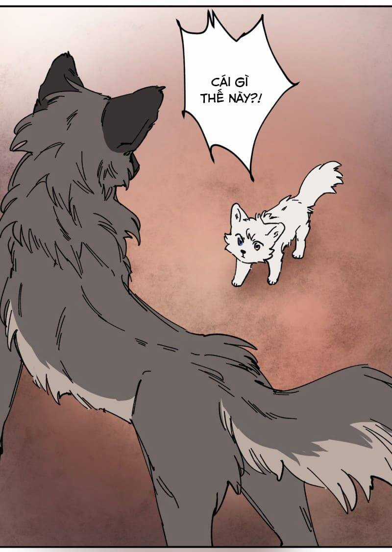 Lumine - Chapter 106 - Trang 40