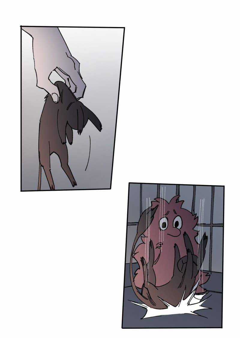 Lumine - Chapter 108 - Trang 16