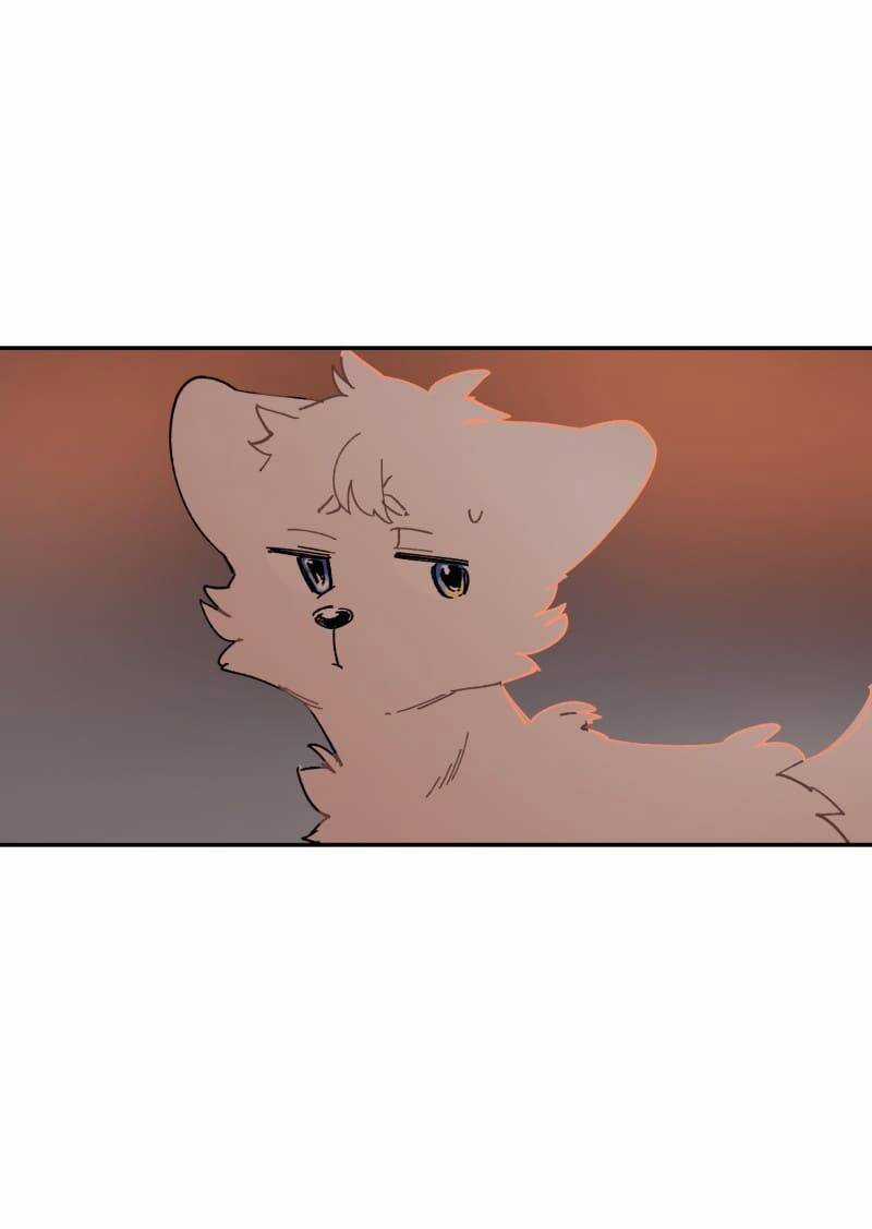 Lumine - Chapter 108 - Trang 27