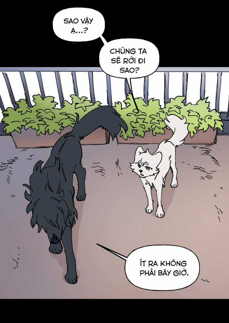 Lumine - Chapter 109 - Trang 31