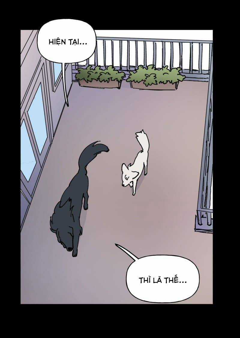 Lumine - Chapter 109 - Trang 36