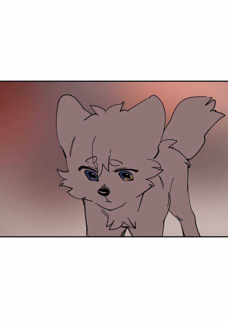 Lumine - Chapter 109 - Trang 44