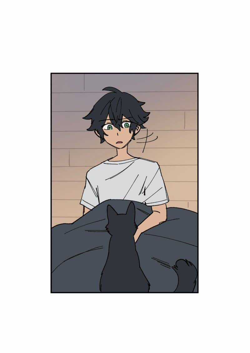 Lumine - Chapter 109 - Trang 7