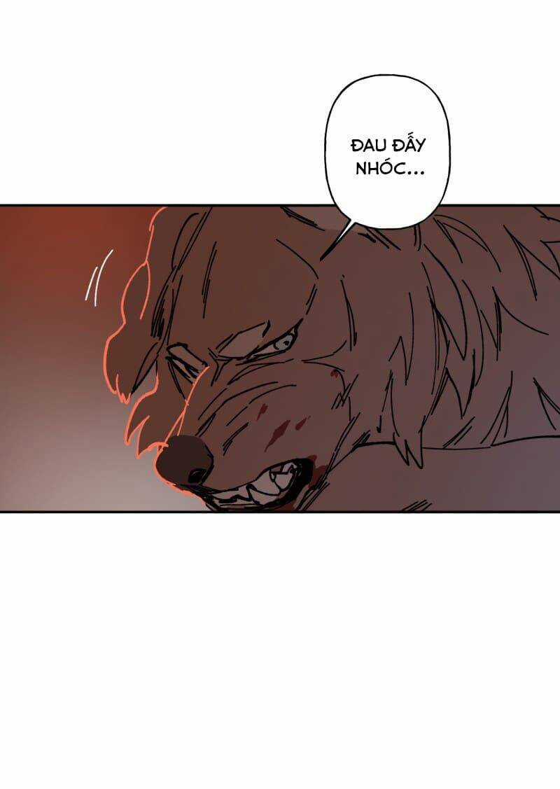 Lumine - Chapter 110 - Trang 25