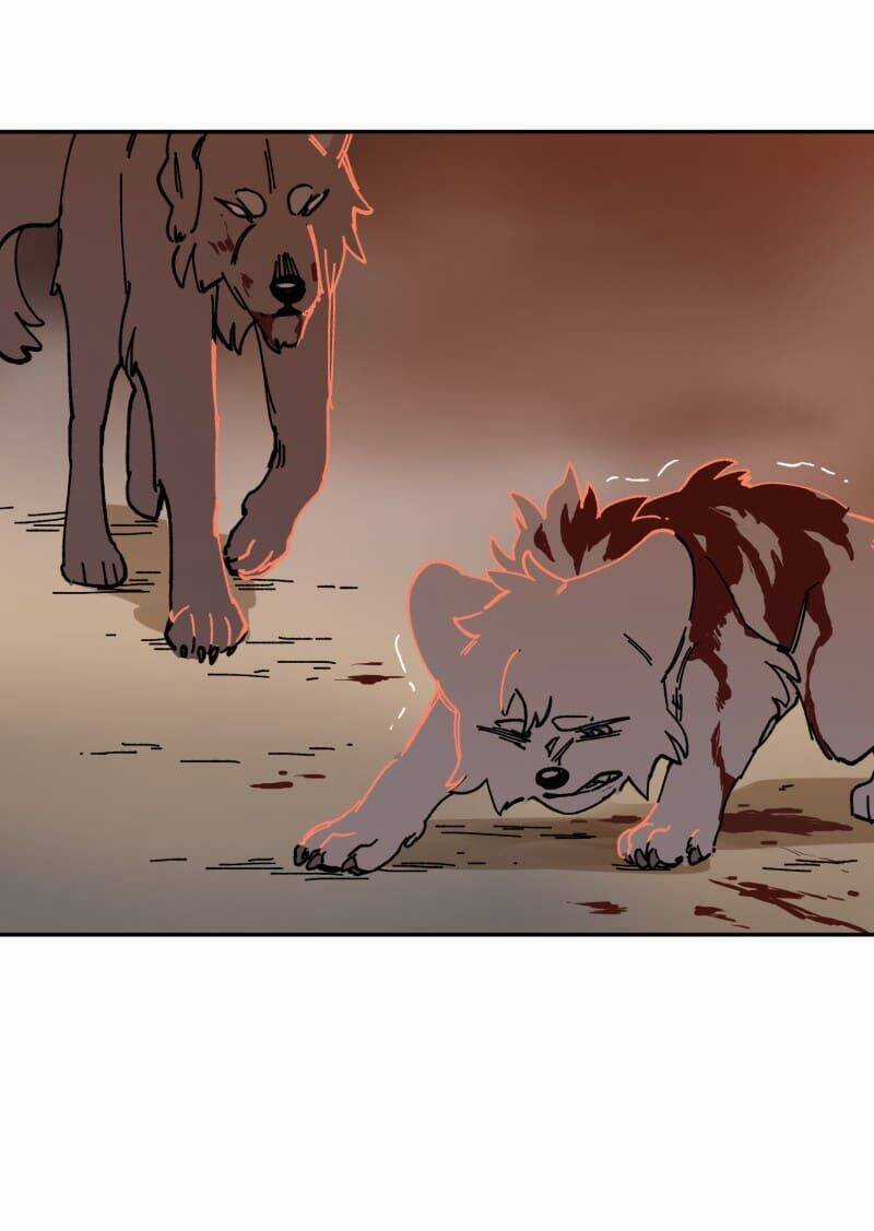 Lumine - Chapter 110 - Trang 27