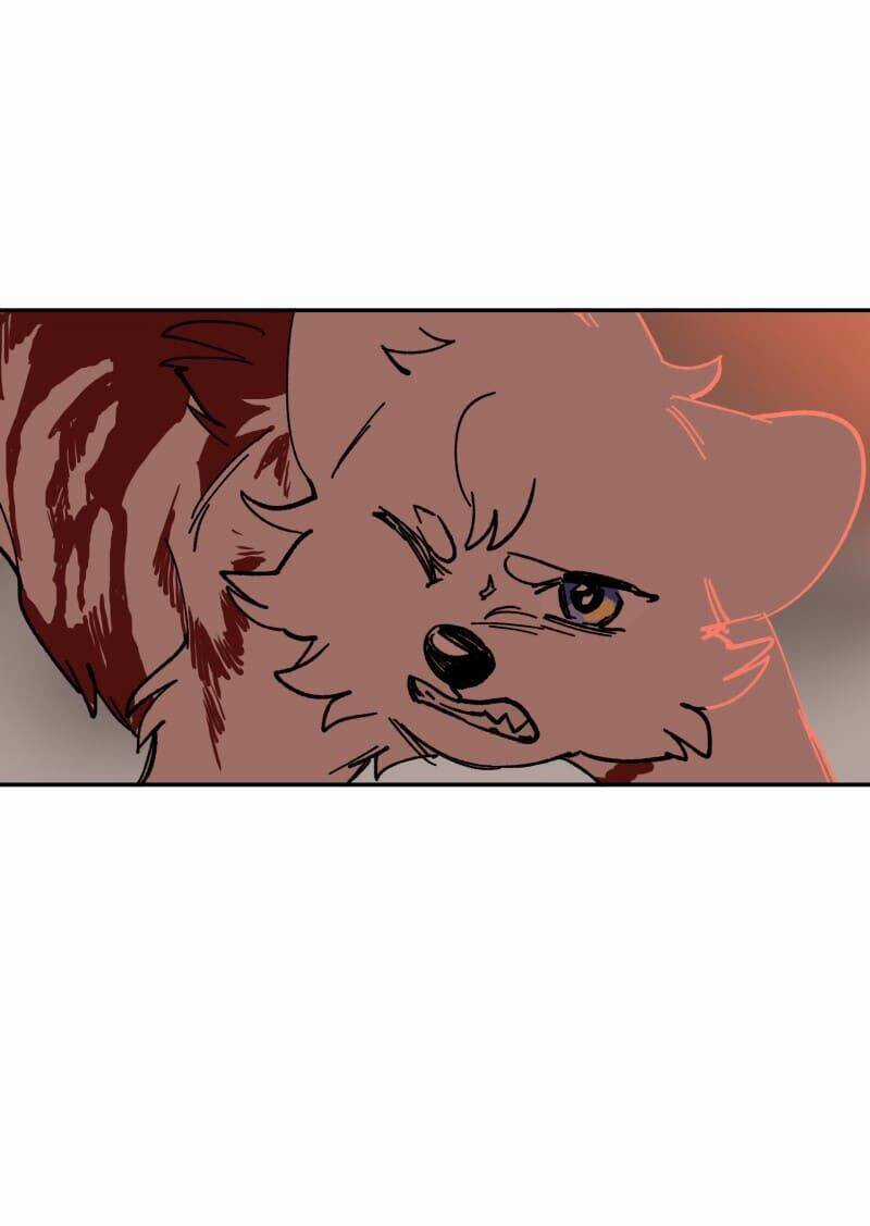 Lumine - Chapter 110 - Trang 32