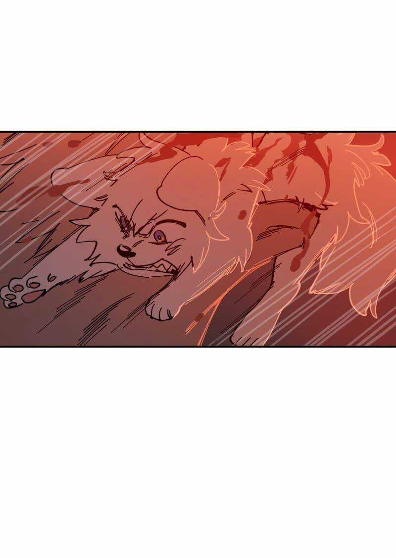 Lumine - Chapter 110 - Trang 6