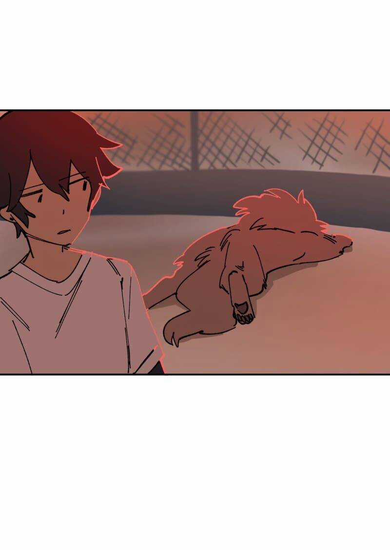 Lumine - Chapter 110 - Trang 52