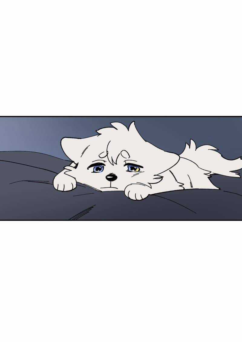 Lumine - Chapter 112 - Trang 29