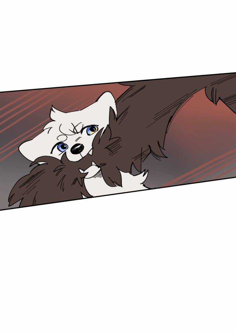 Lumine - Chapter 112 - Trang 37