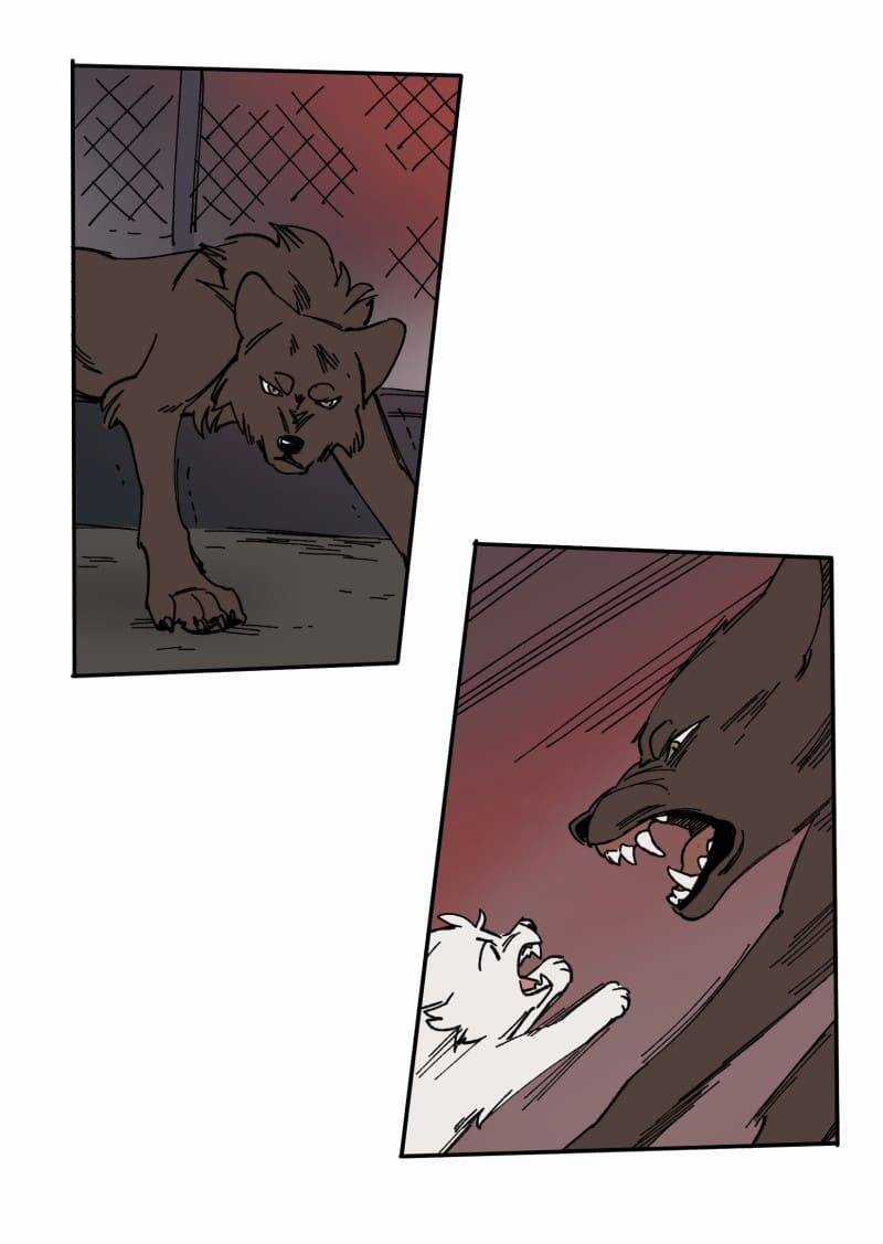 Lumine - Chapter 112 - Trang 41