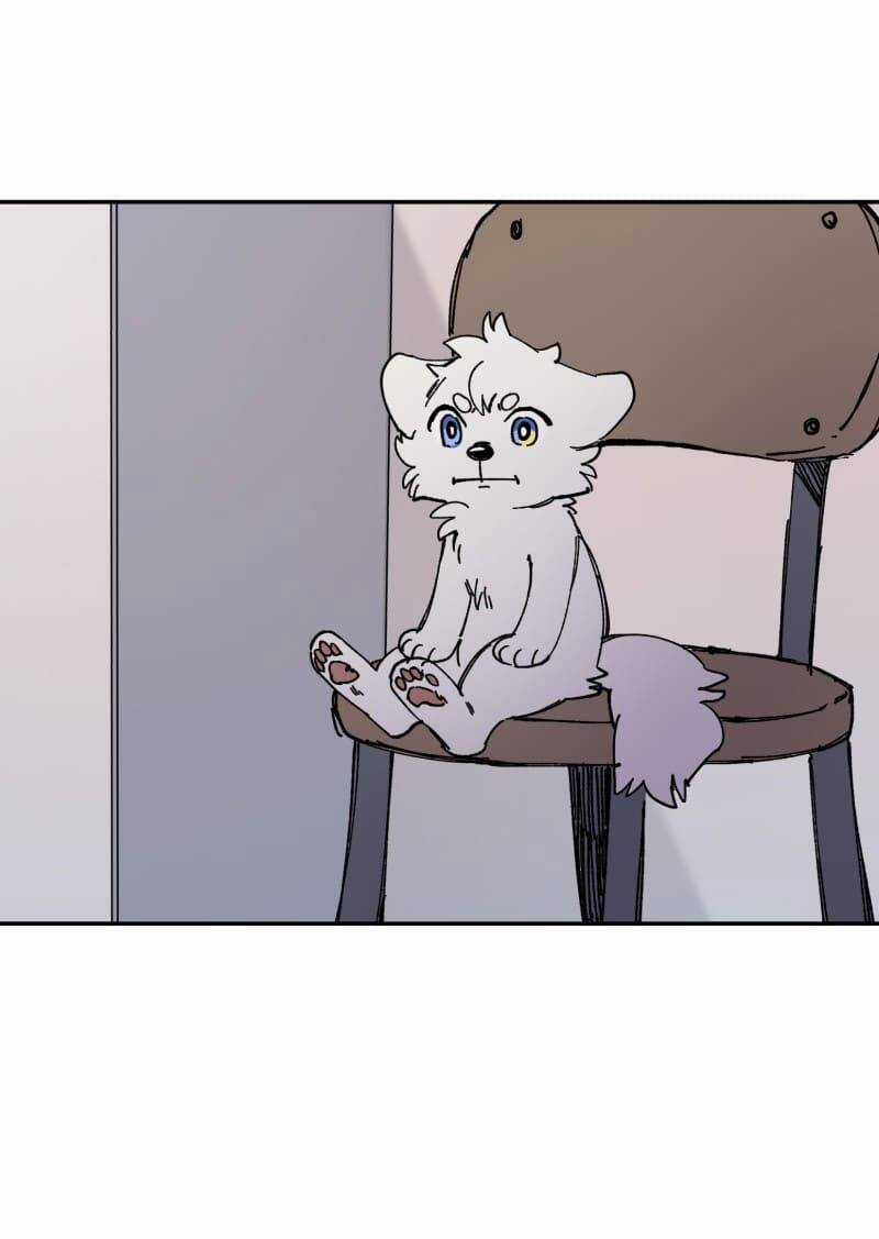 Lumine - Chapter 113 - Trang 11