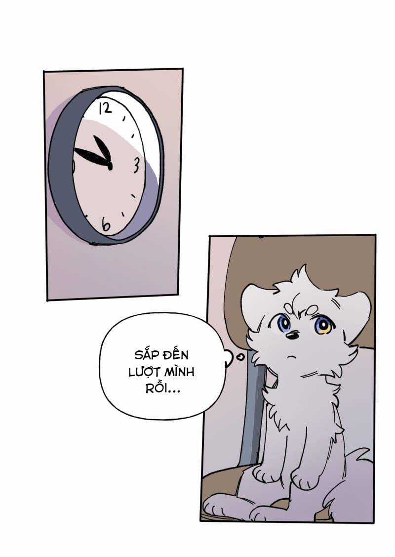 Lumine - Chapter 113 - Trang 12