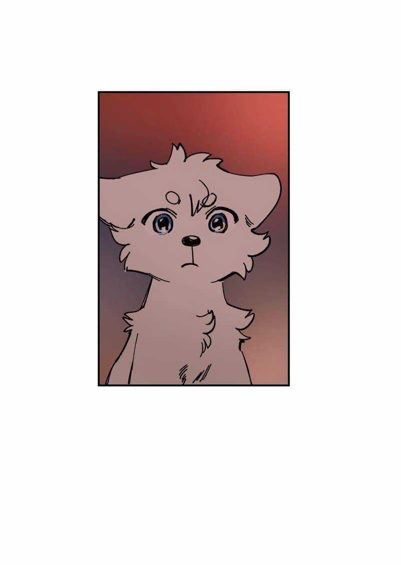 Lumine - Chapter 113 - Trang 20