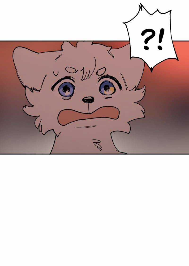 Lumine - Chapter 113 - Trang 21