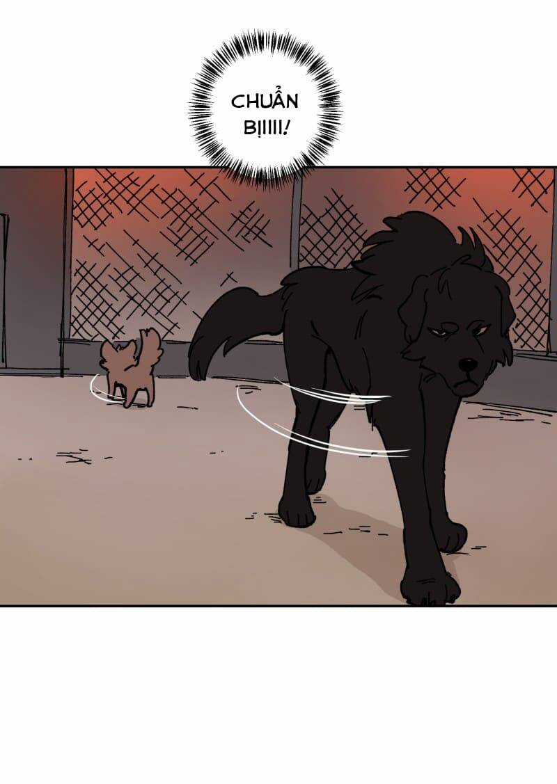 Lumine - Chapter 113 - Trang 30