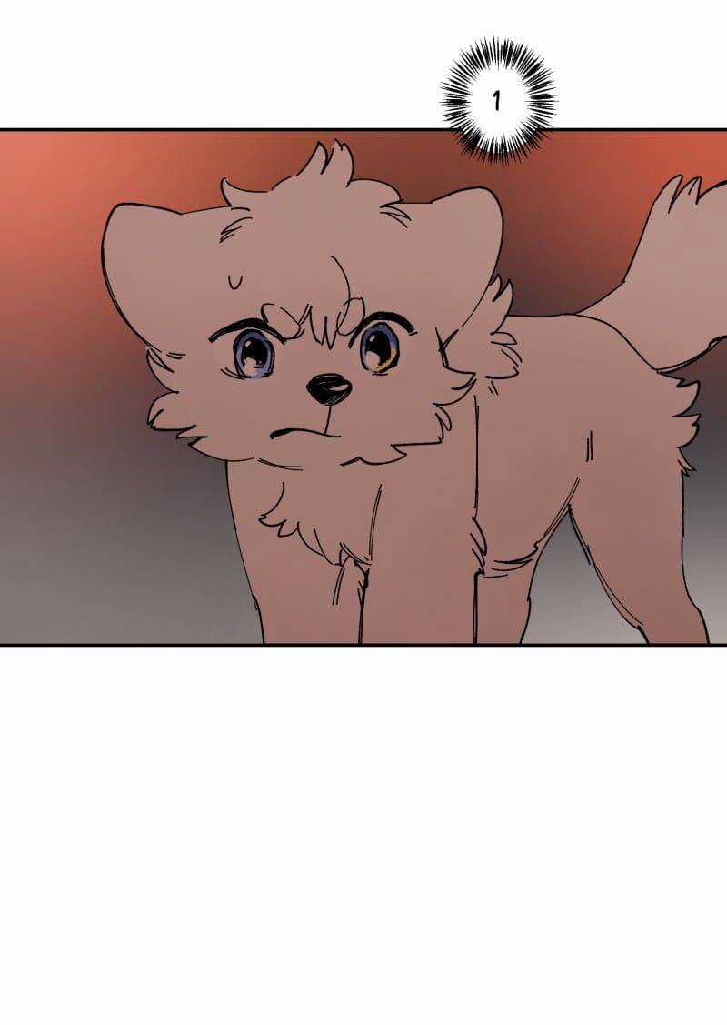 Lumine - Chapter 113 - Trang 33