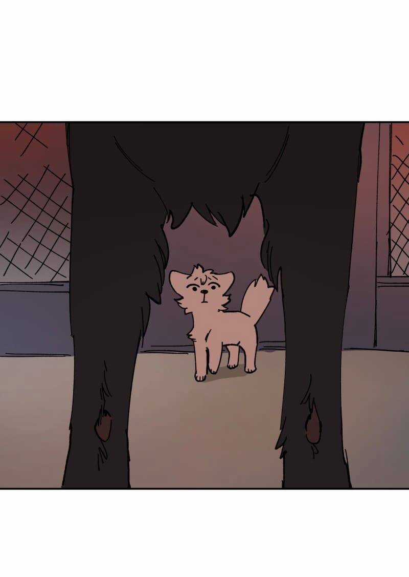 Lumine - Chapter 113 - Trang 36