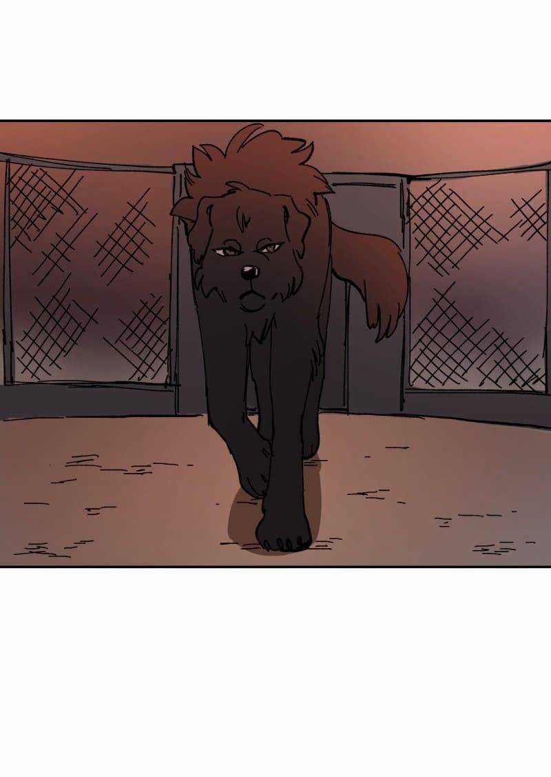 Lumine - Chapter 113 - Trang 38