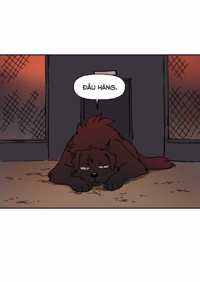 Lumine - Chapter 113 - Trang 48