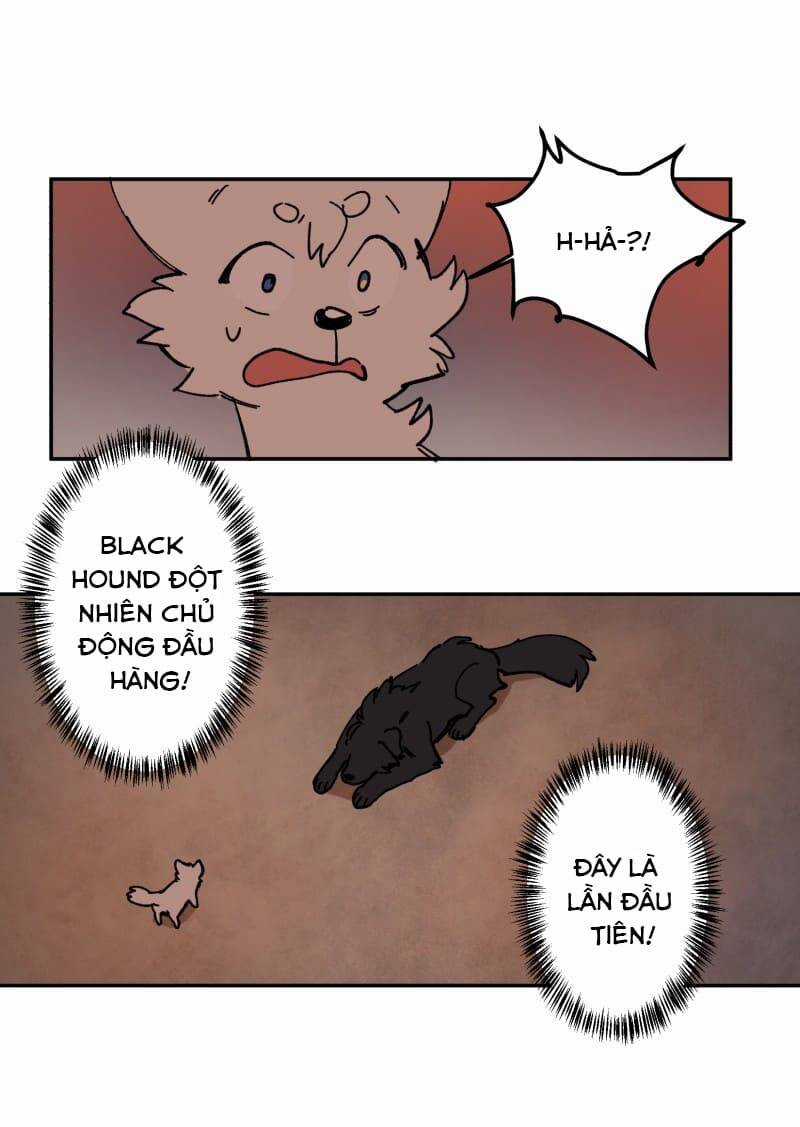 Lumine - Chapter 113 - Trang 49