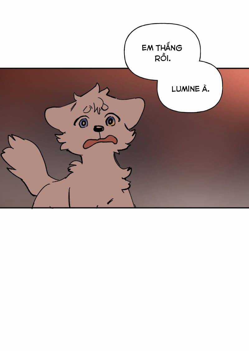 Lumine - Chapter 113 - Trang 51