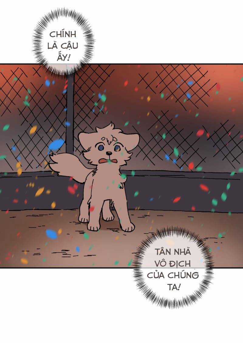 Lumine - Chapter 113 - Trang 53