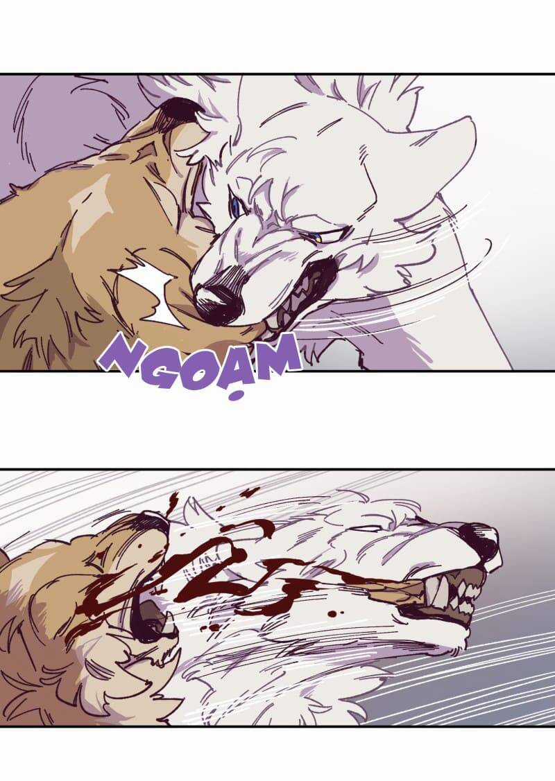 Lumine - Chapter 115 - Trang 18