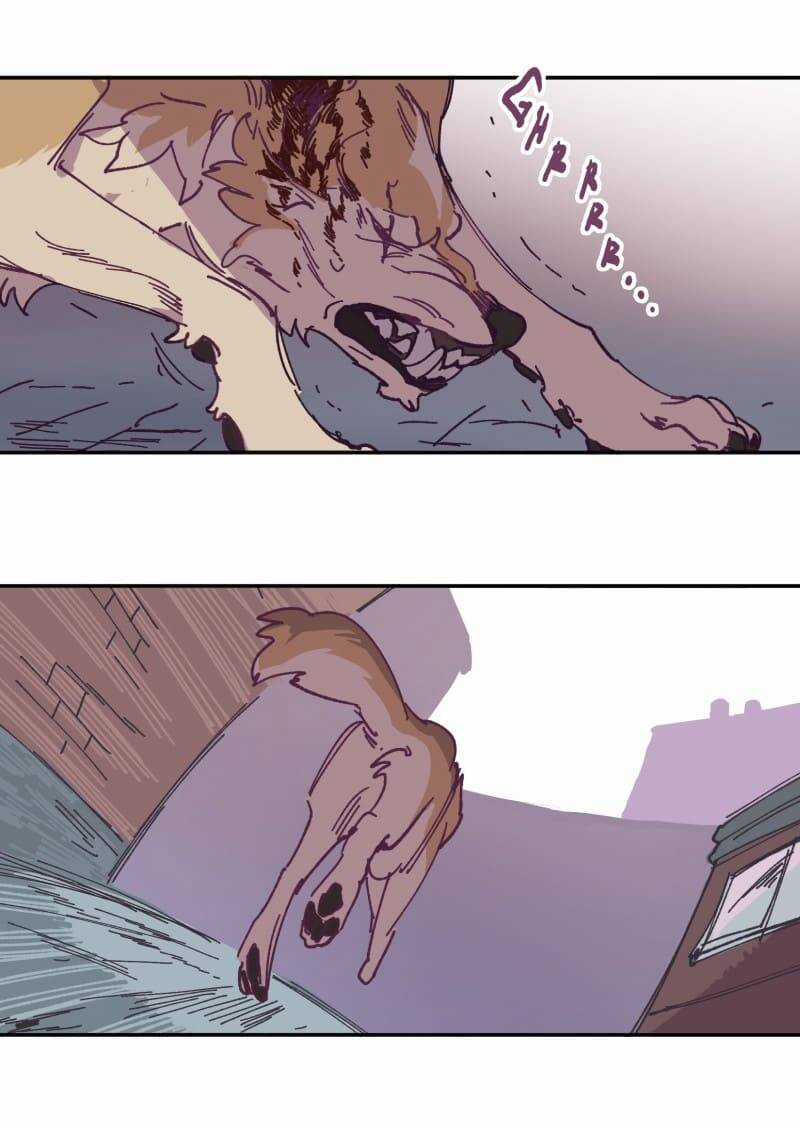 Lumine - Chapter 115 - Trang 24