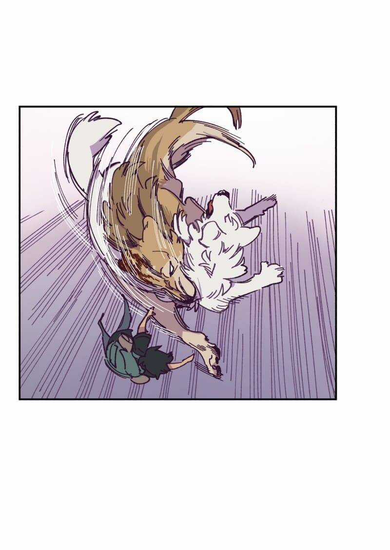 Lumine - Chapter 115 - Trang 39