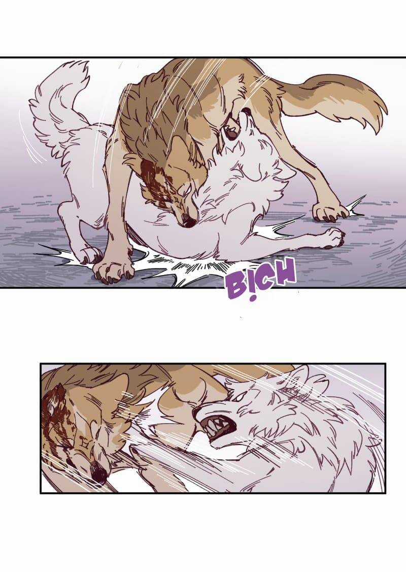 Lumine - Chapter 115 - Trang 40