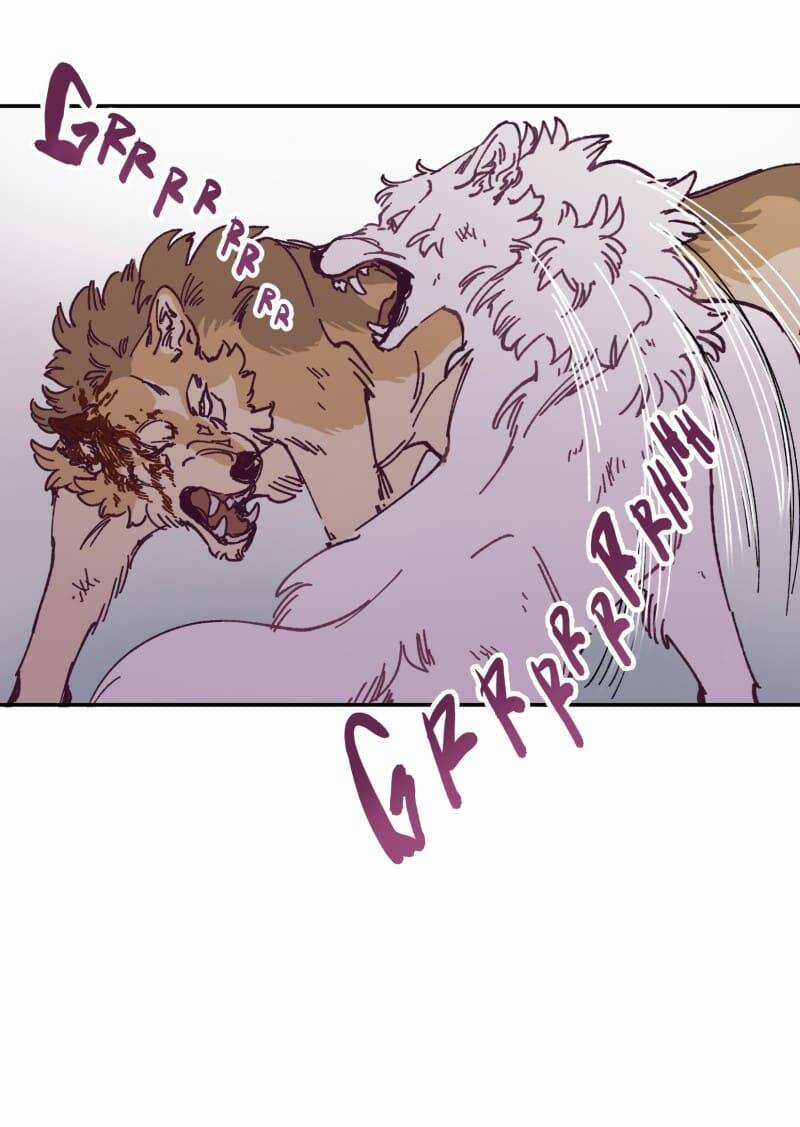 Lumine - Chapter 115 - Trang 41