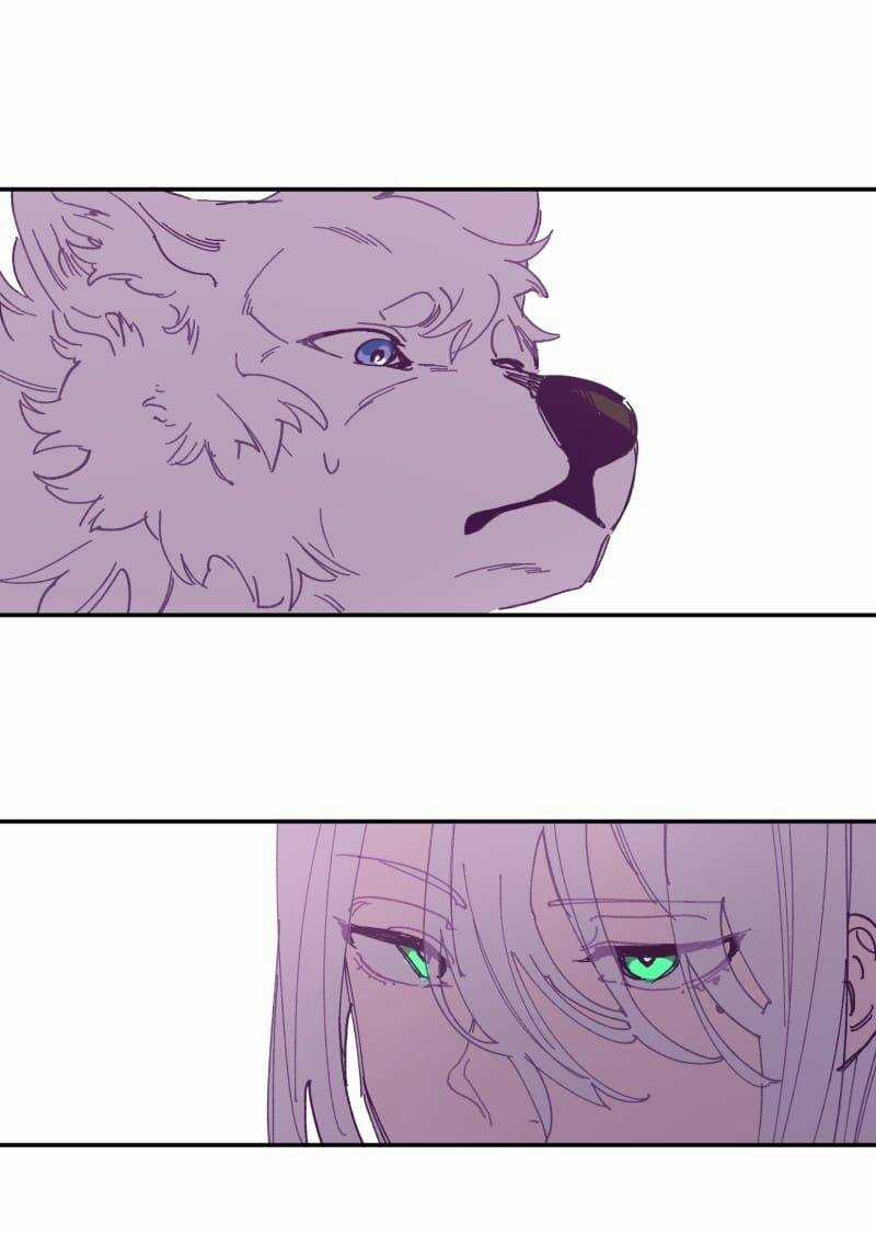 Lumine - Chapter 116 - Trang 19