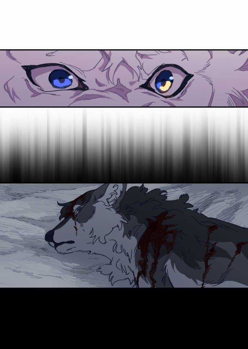 Lumine - Chapter 116 - Trang 24