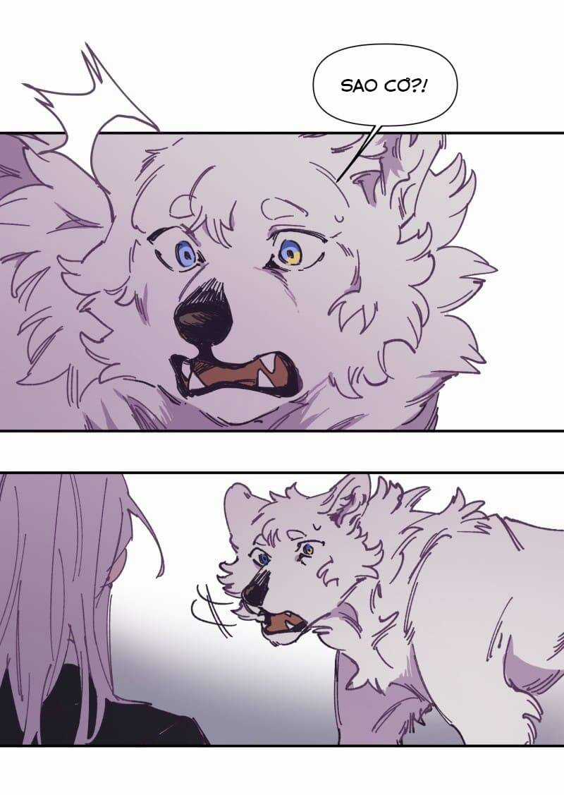 Lumine - Chapter 116 - Trang 4