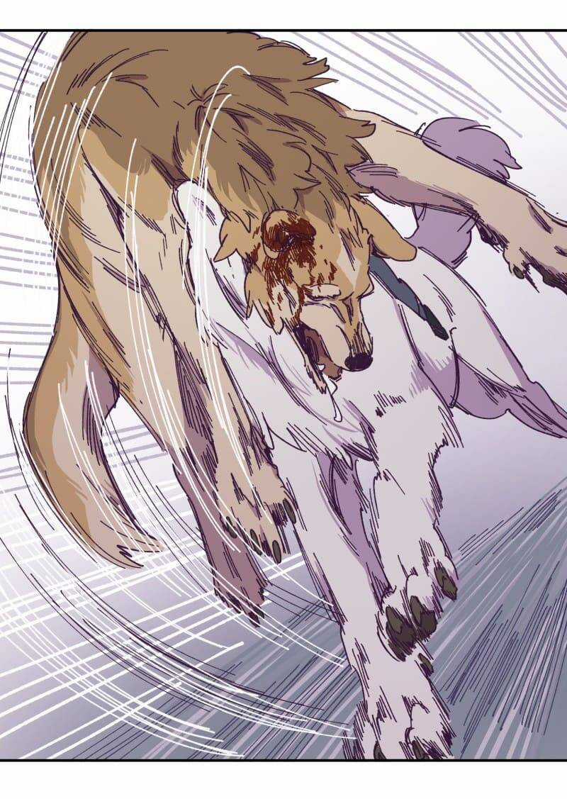 Lumine - Chapter 116 - Trang 41