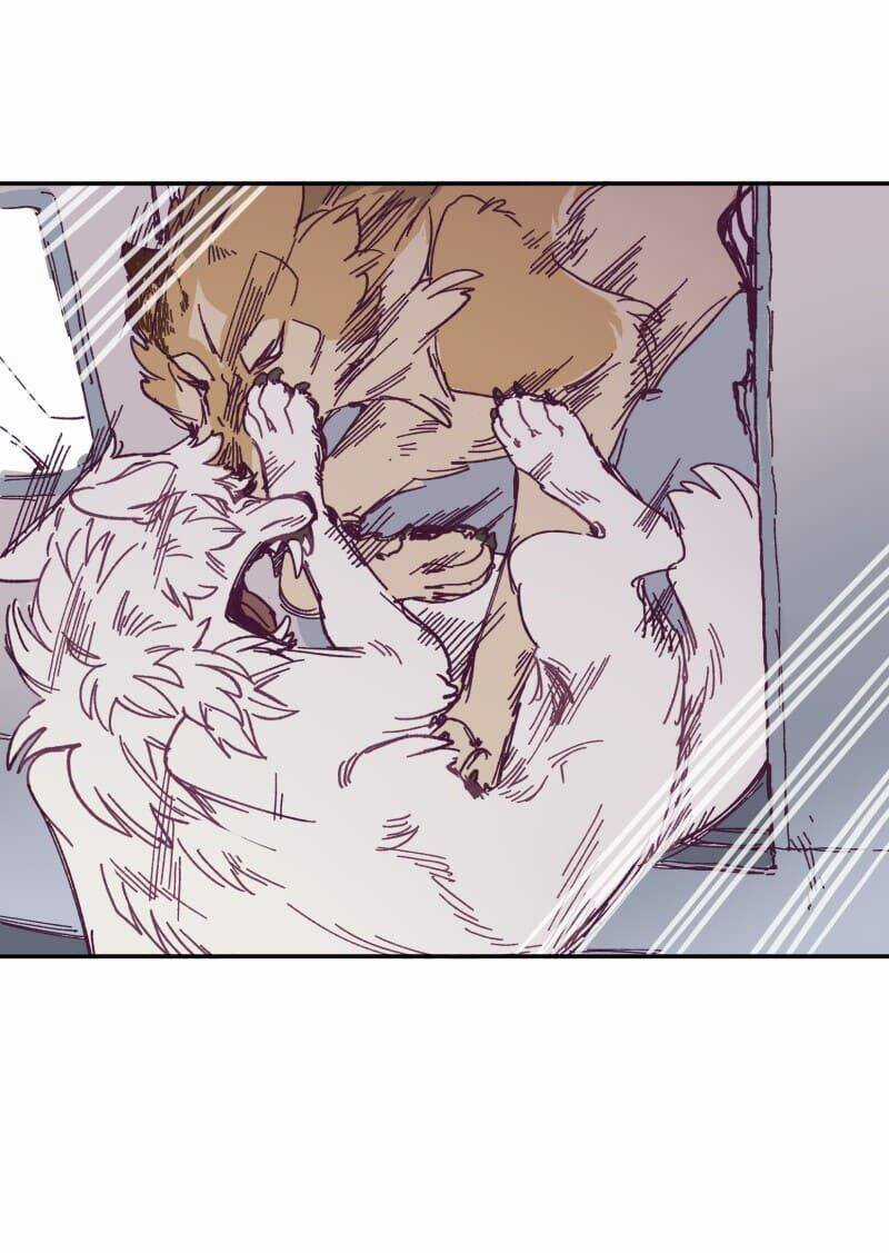 Lumine - Chapter 119 - Trang 4