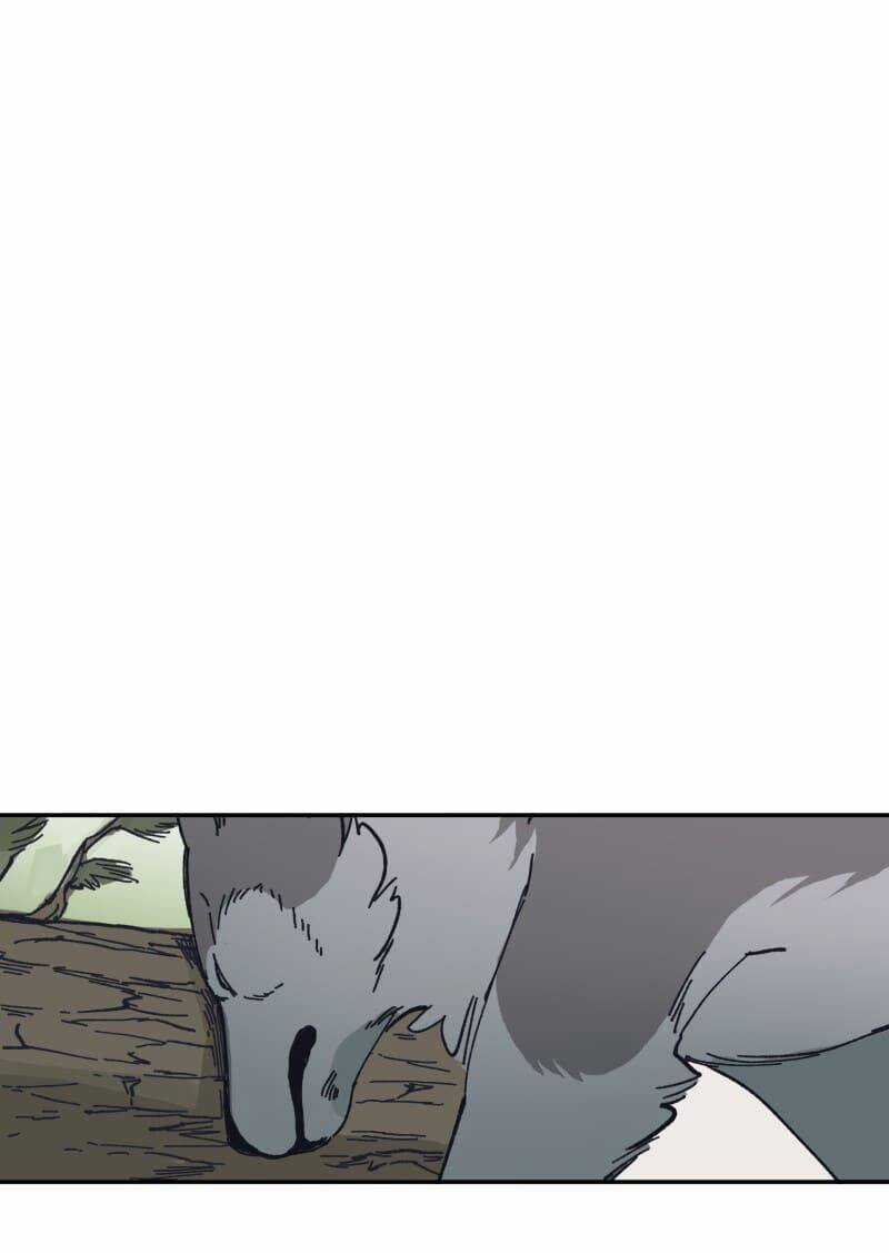 Lumine - Chapter 120 - Trang 21