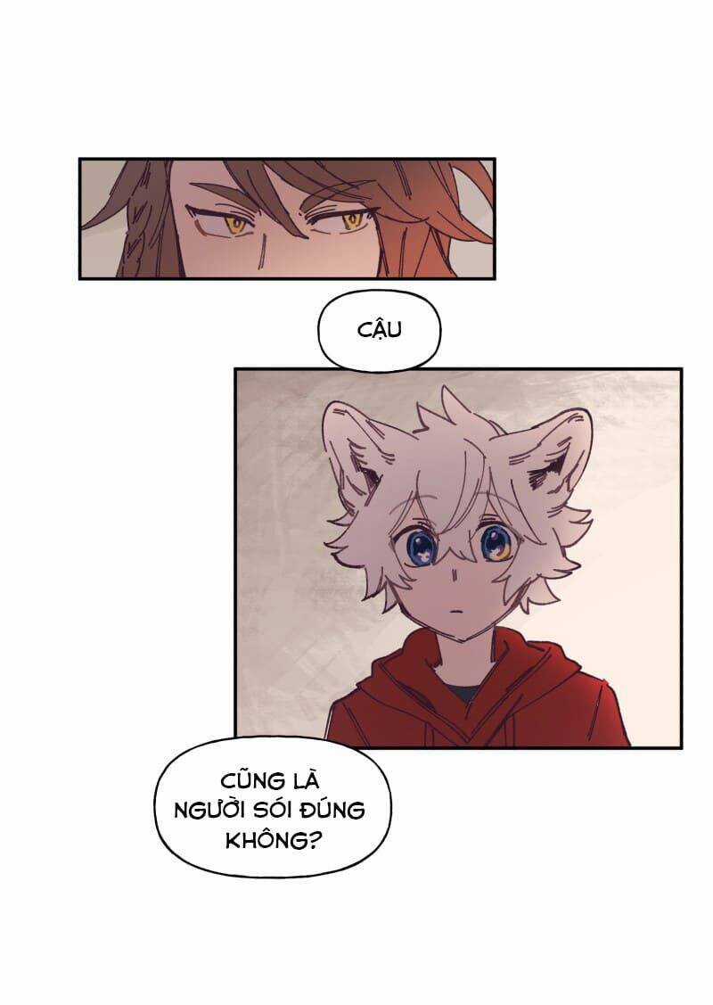 Lumine - Chapter 121 - Trang 11