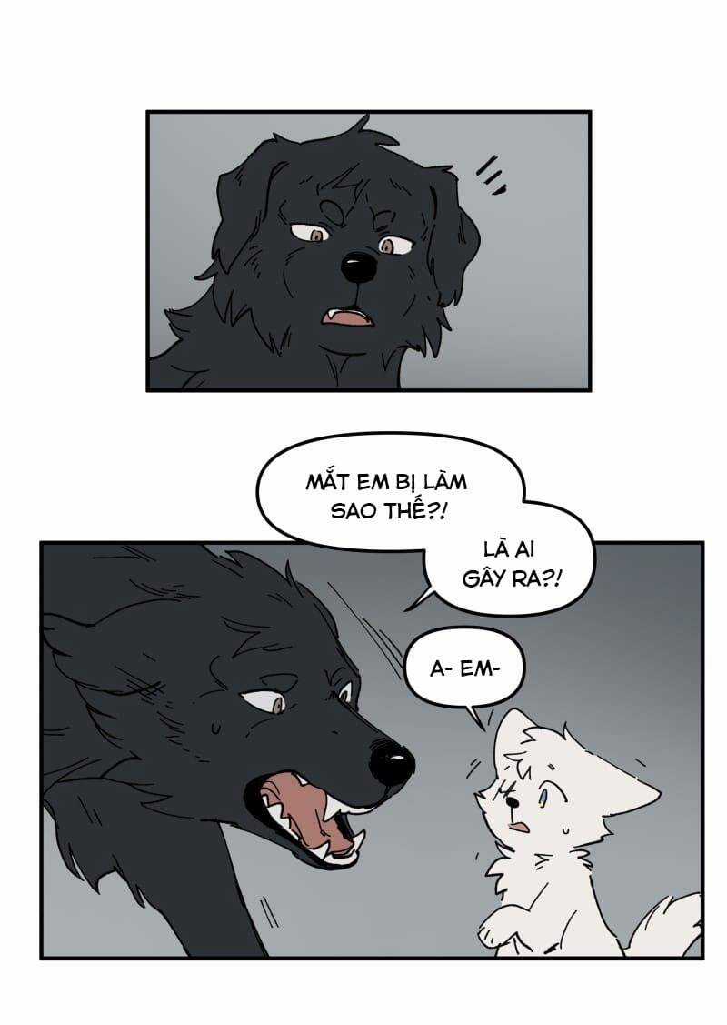 Lumine - Chapter 160 - Trang 11