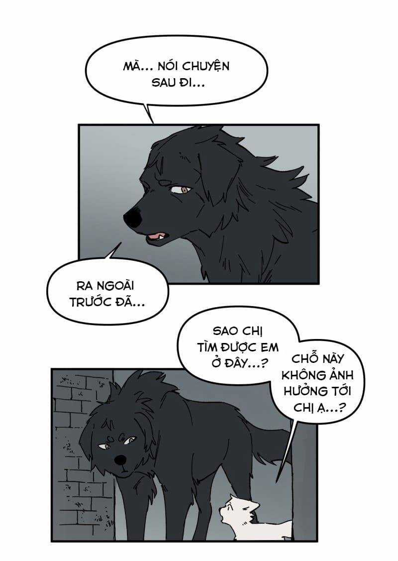 Lumine - Chapter 160 - Trang 12